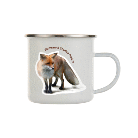 Plecháček - Liška