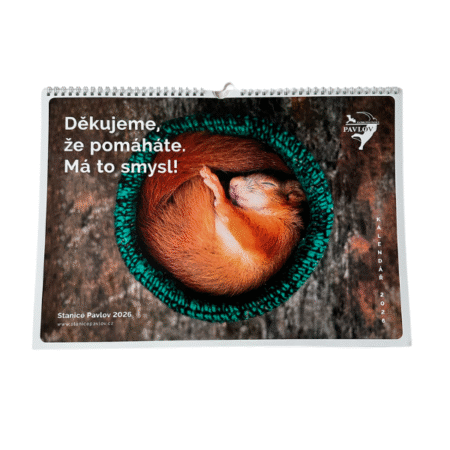 Nástěnný kalendář 2026
