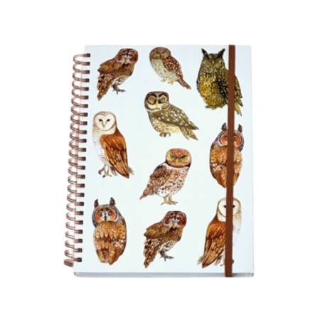 Diář na rok 2026 - Sovy